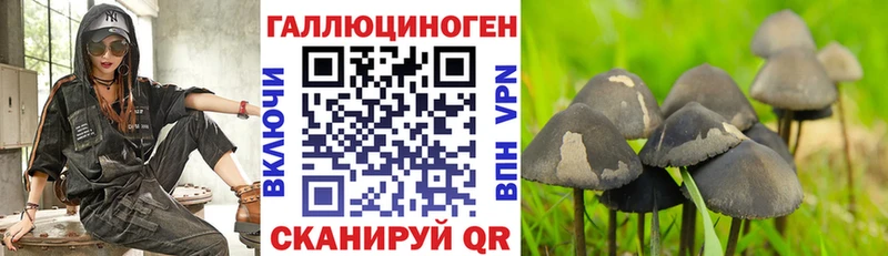 Галлюциногенные грибы Cubensis  Алупка 